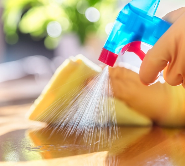 Cleaning Services 